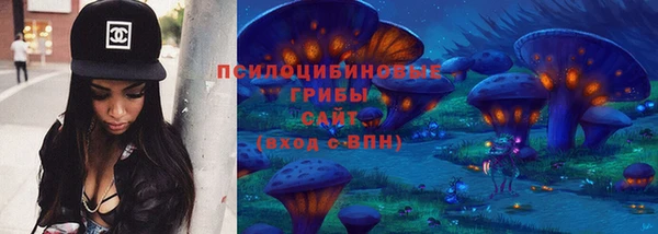 бошки Богородицк